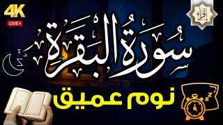 سورة البقرة: العلاج الروحي وتطهير البيت من الشياطين